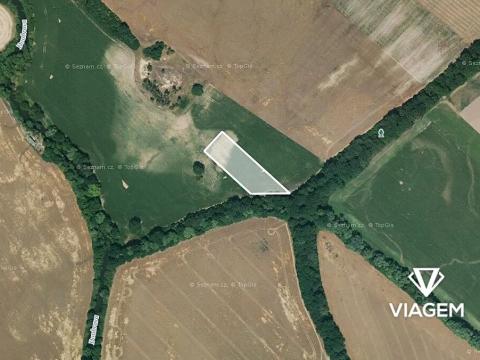 Prodej podílu pole, Horušice, 984 m2