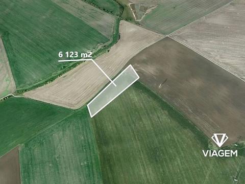 Prodej podílu pole, Veleň, 1530 m2