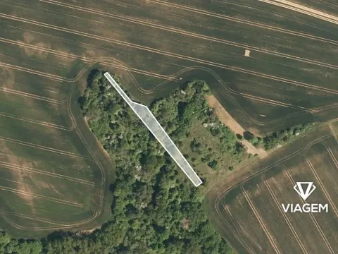 Prodej pole, Jalubí, 788 m2