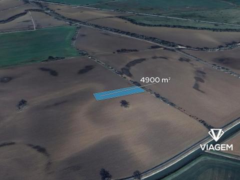 Prodej podílu pole, Sudoměřice, 2450 m2