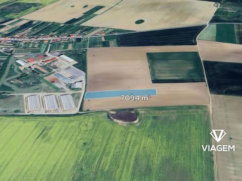 Prodej podílu pole, Jamolice, 591 m2