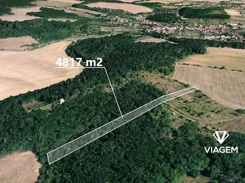Prodej lesa, Silůvky, 4817 m2