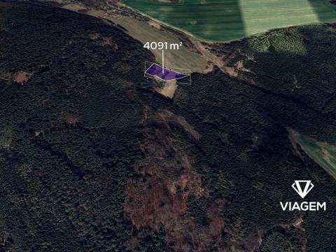 Prodej lesa, Březina, 4091 m2