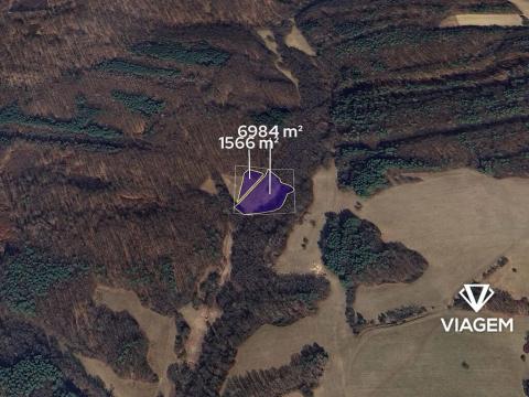 Prodej pole, Doubravy, 8550 m2