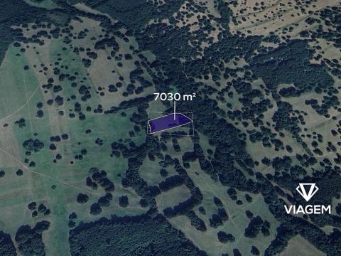 Prodej pole, Tvarožná Lhota, 7030 m2