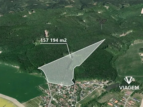 Prodej podílu lesa, Fryšták, 5483 m2