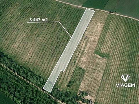 Prodej podílu sadu/vinice, Brumovice, 1723 m2