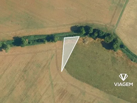 Prodej podílu pole, Dašice, 422 m2