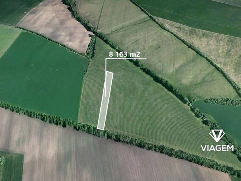 Prodej pole, Šumice, 8163 m2