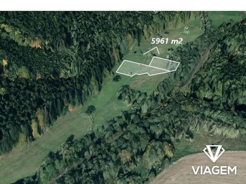 Prodej podílu pole, Studené, 1490 m2