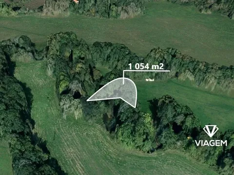 Prodej podílu lesa, Chroustovice, 527 m2