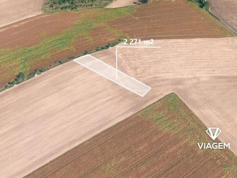 Prodej lesa, Bernartice nad Odrou, 2271 m2