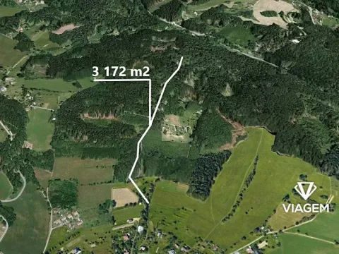 Prodej podílu lesa, Železný Brod, 528 m2