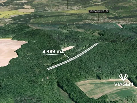 Prodej podílu lesa, Mistřice, 1097 m2