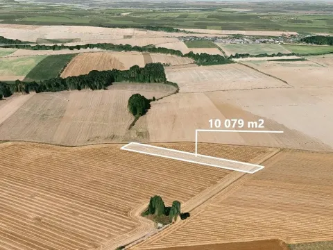Prodej podílu pole, Dolní Životice, 1083 m2