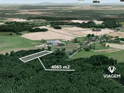 Prodej podílu lesa, Drahov, 2032 m2