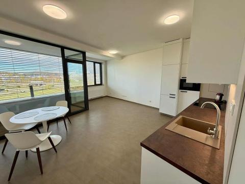 Pronájem bytu 3+kk, Brno, Opuštěná, 95 m2