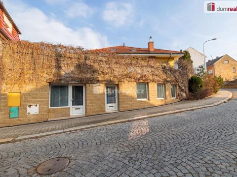 Prodej obchodního prostoru, Mladá Boleslav, Viničná, 107 m2