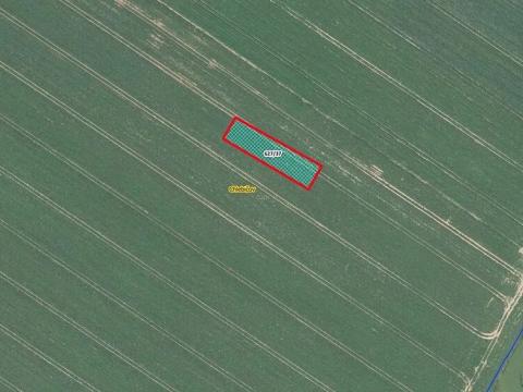 Prodej pole, Chlebičov, 966 m2