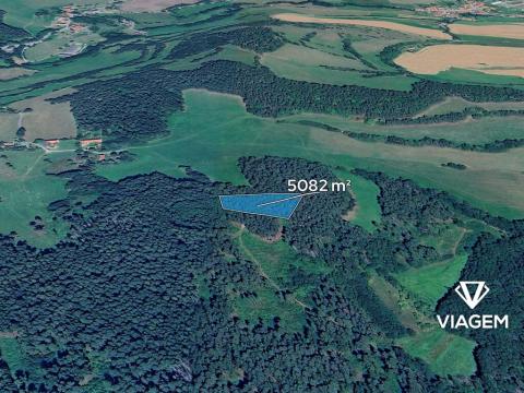 Prodej podílu lesa, Volyně, 1129 m2