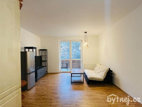 Pronájem bytu 2+kk, Zastávka, Havířská, 58 m2