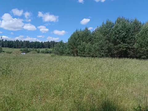 Dražba pozemku, Česká Lípa, 3295 m2