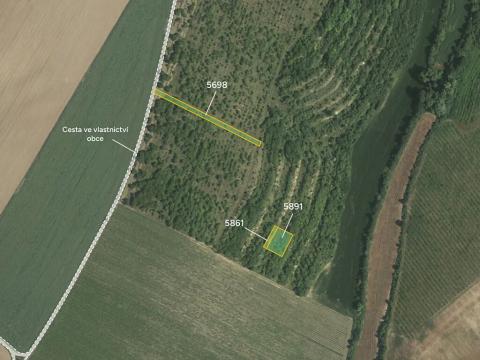 Prodej sadu/vinice, Lovčice, 1342 m2