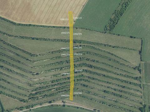 Prodej sadu/vinice, Morkůvky, 4640 m2