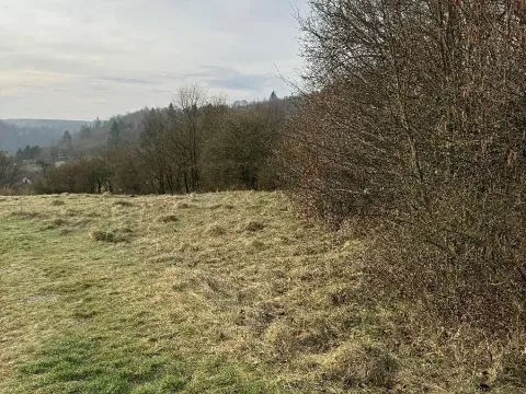 Prodej pozemku, Sloup, 3678 m2