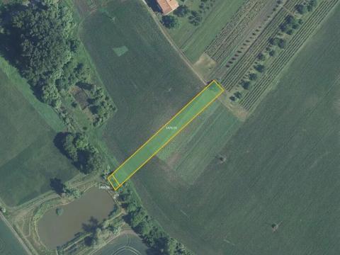 Prodej pole, Starý Poddvorov, 1804 m2