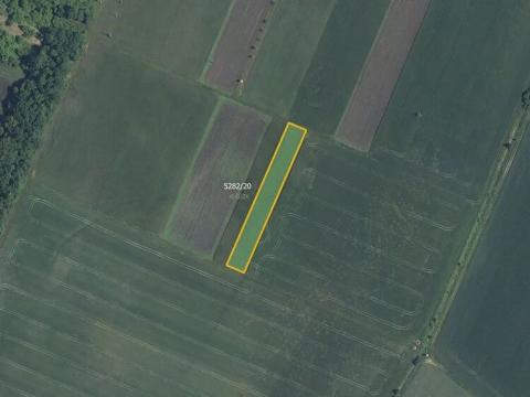 Prodej pole, Novosedly, 3161 m2