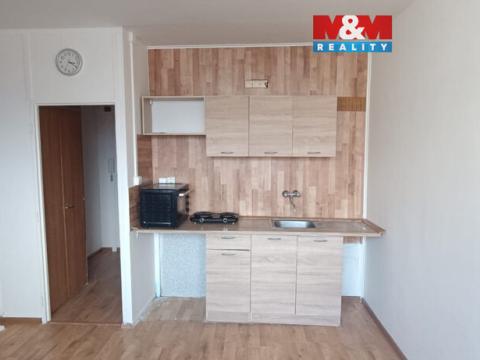 Pronájem bytu 1+kk, Litvínov - Horní Litvínov, Mostecká, 22 m2