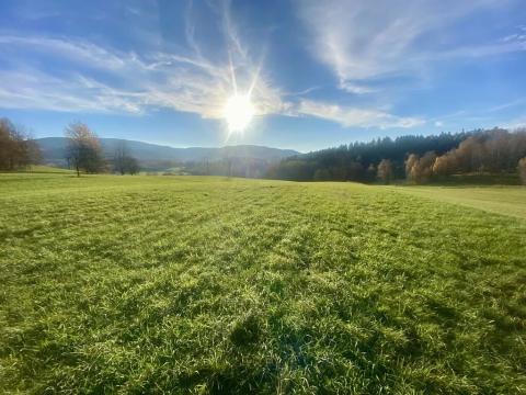 Prodej louky, Mníšek, 33698 m2