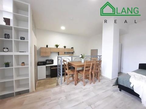 Pronájem bytu 1+kk, Brno, Palackého třída, 33 m2