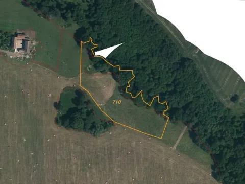 Dražba louky, Habartice, 10693 m2