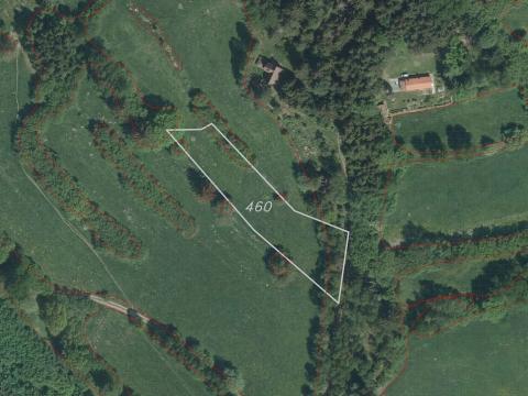 Prodej pole, Nový Rychnov - Čejkov, 7207 m2