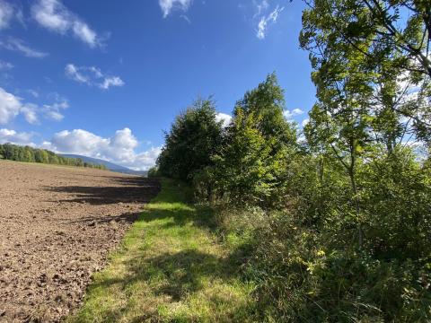 Prodej pozemku, Lánov - Horní Lánov, 718 m2