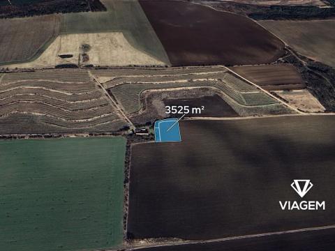 Prodej podílu pole, Cítov, 705 m2