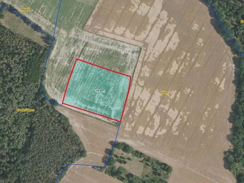 Prodej pole, Tuřice, 13416 m2