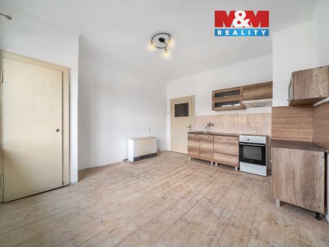 Prodej bytu 1+1, Kralovice, Na Palcátech, 47 m2