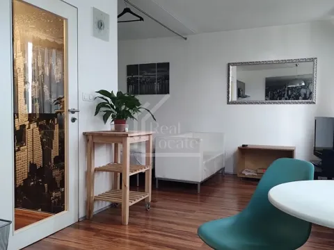 Prodej bytu 1+kk, Praha - Karlín, Molákova, 36 m2