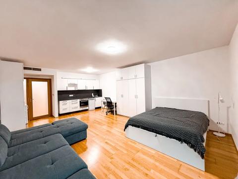 Pronájem bytu 1+kk, Praha - Žižkov, Ke kapslovně, 53 m2