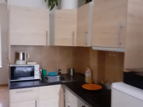 Pronájem bytu 1+kk, Praha - Michle, Čapkova, 20 m2