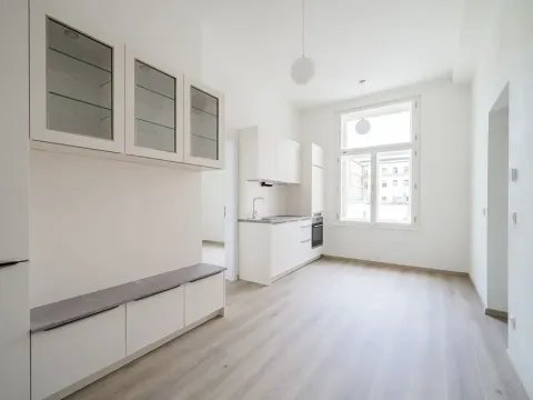 Pronájem bytu 2+kk, Praha - Nové Město, Václavské náměstí, 37 m2
