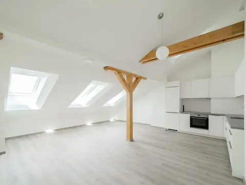 Pronájem bytu 2+kk, Praha - Nové Město, Václavské náměstí, 63 m2