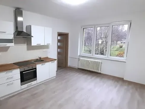 Pronájem bytu 3+kk, Most, Josefa Skupy, 51 m2