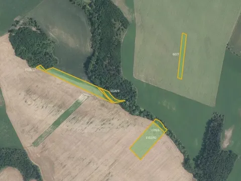 Prodej pole, Džbánice, 6896 m2