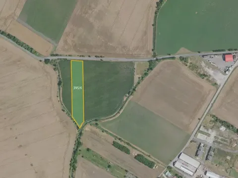 Prodej pole, Sudovo Hlavno, 9362 m2