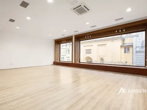 Pronájem obchodního prostoru, Brno, Masarykova, 176 m2