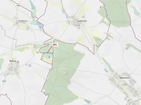 Dražba lesa, Loukovice, 7796 m2